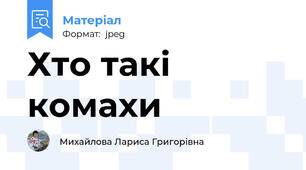 Хто такі комахи