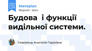Будова  і функції видільної системи.