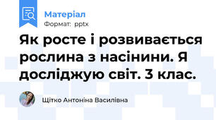 Як росте і розвивається рослина з насінини. Я досліджую світ. 3 клас.