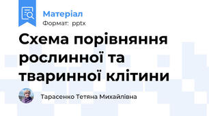 Схема порівняння рослинної та тваринної клітини