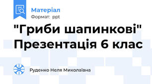 "Гриби шапинкові" Презентація 6 клас