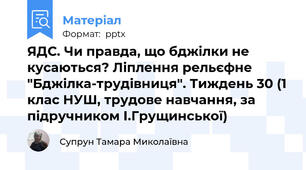 ЯДС. Чи правда, що бджілки не кусаються? Ліплення рельєфне "Бджілка-трудівниця". Тиждень 30 (1 клас НУШ, трудове навчання, за підручником І.Грущинської)