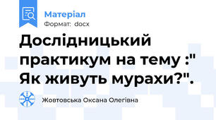 Дослідницький практикум на тему :" Як живуть мурахи?".