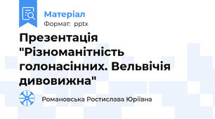 Презентація "Різноманітність голонасінних. Вельвічія дивовижна"