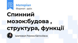 Спинний мозок:будова , структура, функції
