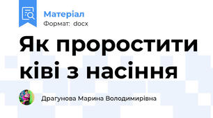 Як проростити ківі з насіння