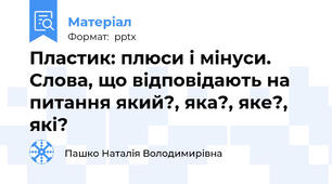 Пластик: плюси і мінуси.  Слова, що відповідають на питання який?, яка?, яке?, які?