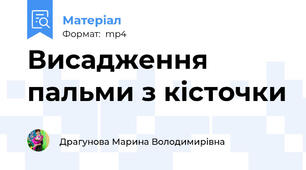 Висадження пальми з кісточки