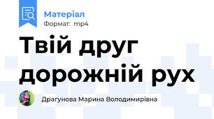 Твій друг дорожній рух