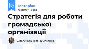 Стратегія для роботи громадської організації