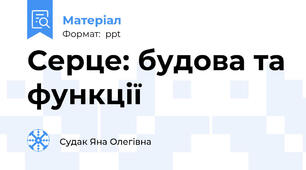 Серце: будова та функції