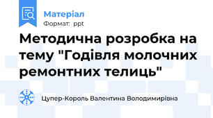 Методична розробка на тему "Годівля молочних ремонтних телиць"