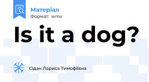Is it a dog?