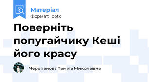Поверніть попугайчику Кеші його красу