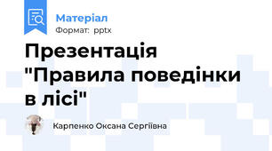 Презентація "Правила поведінки в лісі"