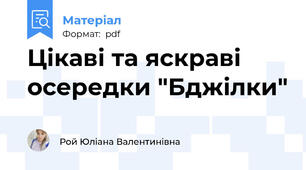 Цікаві та яскраві осередки "Бджілки"