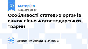 Особливості статевих органів самок сільськогосподарських тварин