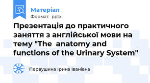 Презентація до практичного заняття з англійської мови на тему "The  anatomy and functions of the Urinary System"