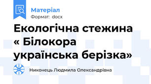 Екологічна стежина  « Білокора українська берізка»