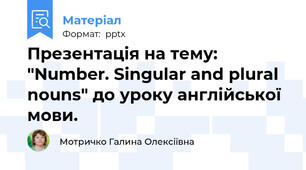 Презентація на тему: "Number. Singular and plural nouns" до уроку англійської мови.