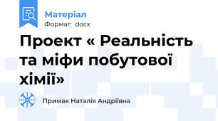 Проект « Реальність та міфи побутової хімії»