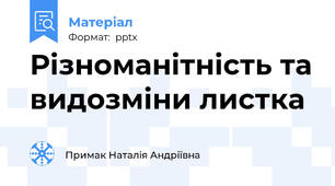 Різноманітність та видозміни листка