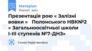 Презентація рою « Залізні вовки »   Полонського НВК№2 « Загальноосвітньої школи I-III ступенів №7-ДНЗ»