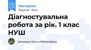Діагностувальна робота за рік. 1 клас НУШ