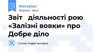 Звіт   діяльності рою «Залізні вовки» про Добре діло