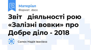Звіт   діяльності рою «Залізні вовки» про Добре діло - 2018