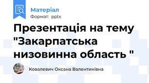 Презентація на тему "Закарпатська низовинна область "