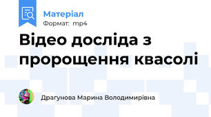 Відео досліда з пророщення квасолі