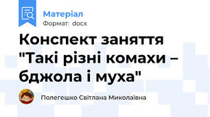 Конспект заняття "Такі різні комахи – бджола і муха"