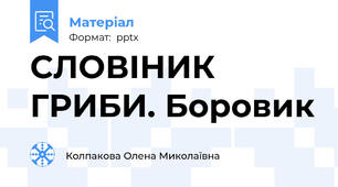 СЛОВІНИК ГРИБИ. Боровик