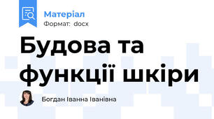 Будова та функції шкіри