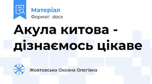Акула китова - дізнаємось цікаве