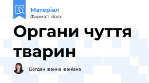 Органи чуття тварин