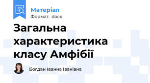 Загальна характеристика класу Амфібії