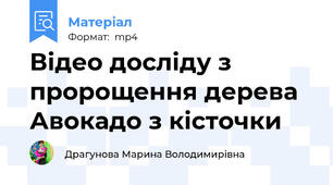 Відео досліду з пророщення дерева Авокадо з кісточки