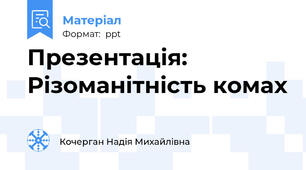 Презентація: Різоманітність комах