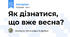 Як дізнатися, що вже весна?