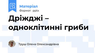 Дріжджі – одноклітинні гриби