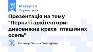 Презентація на тему  "Пернаті архітектори: дивовижна краса  пташиних осель"
