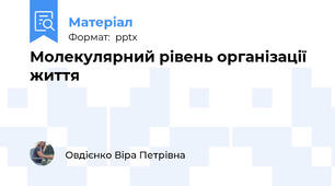 Молекулярний рівень організації життя