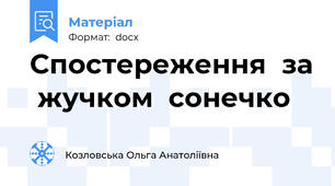 Спостереження  за  жучком  сонечко