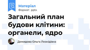 Загальний план будови клітини: органели, ядро