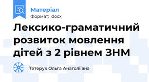 Лексико-граматичний розвиток мовлення дітей з 2 рівнем ЗНМ