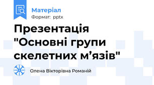 Презентація "Основні групи скелетних м’язів"