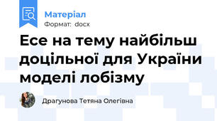 Есе на тему найбільш доцільної для України моделі лобізму