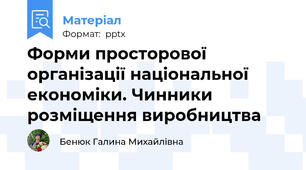 Форми просторової організації національної економіки. Чинники розміщення виробництва